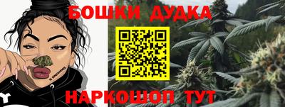 крисы Славгород