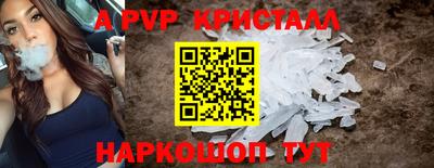 крисы Славгород