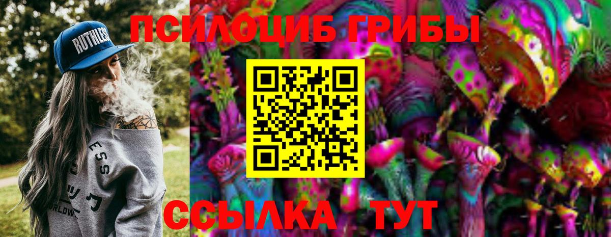 Галлюциногенные грибы Psilocybine cubensis  Вход с VPN  Нижнеудинск 